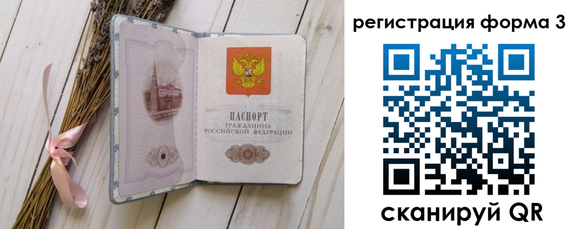 прописка поиск в Палласовке